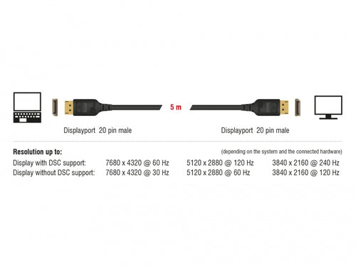 DeLOCK 85663 DisplayPort cable