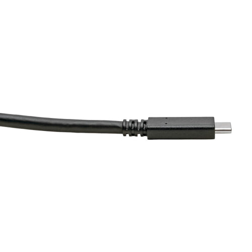 Tripp Lite U420-C06 USB cable