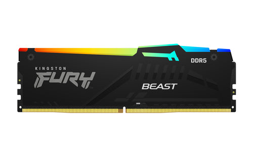 Kingston Technology FURY Beast RGB memory module