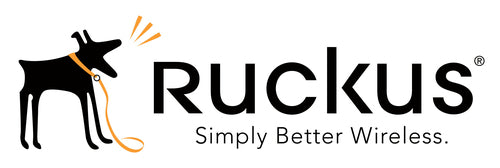 RUCKUS Networks S28-0001-5LSG warranty/support extension
