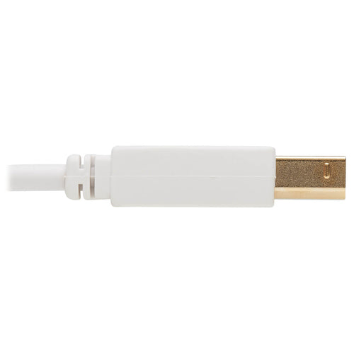 Tripp Lite U022AB-010-WH USB cable