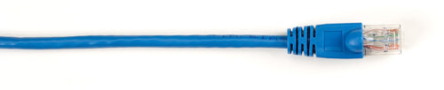 AddOn Networks ADD-10FCAT6P-BE networking cable