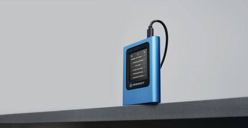 Kingston Technology IronKey Vault Privacy 80