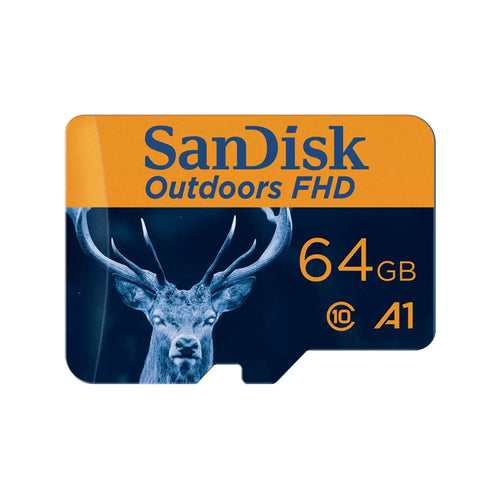 SanDisk SDSQUNR-064G-GN6VA memory card