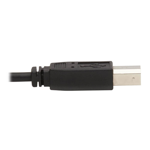 Tripp Lite P783-006 KVM cable