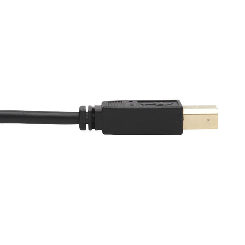 Tripp Lite P783-006-U KVM cable