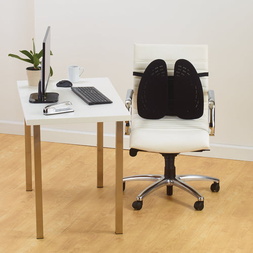 Back Rest Kensington SmartFit Conform Mesh Adjustable Office Chair Support
