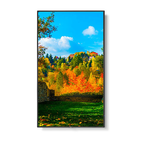 Sharp M551-MPI4E Signage Display