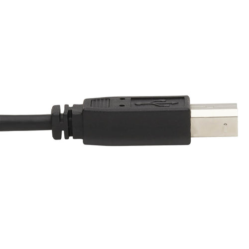 Tripp Lite P783-006-U KVM cable