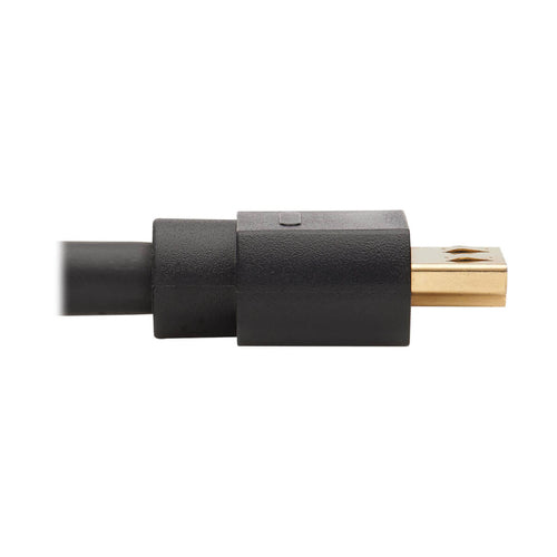 Tripp Lite P582-010-4K6AE video cable adapter