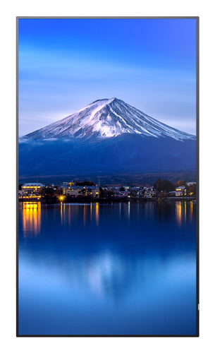 SHARP/NEC MultiSync P556