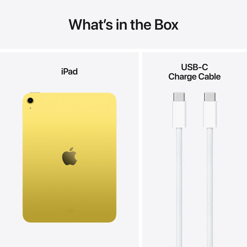 Apple iPad