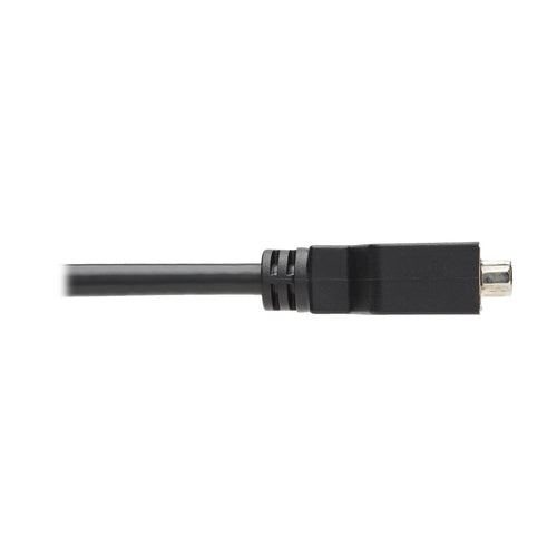 DisplayPort to DVI-I Adapter Tripp Lite 6in 1920x1200 Male to Female