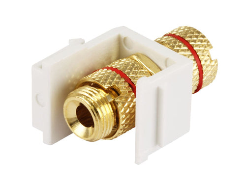 Monoprice 8436 keystone module