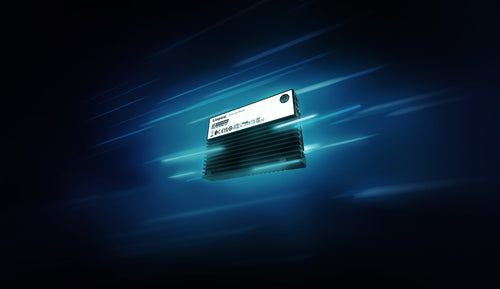 Kingston Technology DC3000ME