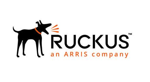 RUCKUS Networks S08-VSCG-1L00 software license/upgrade