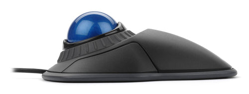 Kensington K72337WW mouse
