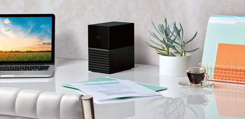 Western Digital My Book Duo disk array