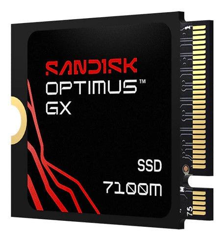 SanDisk Optimus GX 7100M