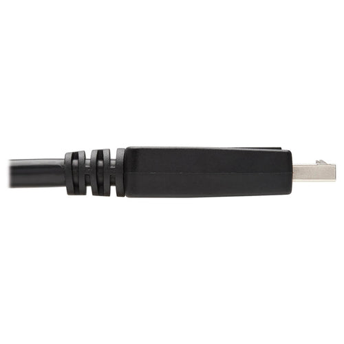 Video Cable Adapter Tripp Lite P581AB-006 DisplayPort to DVI 1080p 6ft Antibacterial