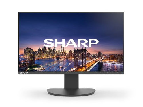 Sharp DD-EA241F computer monitor