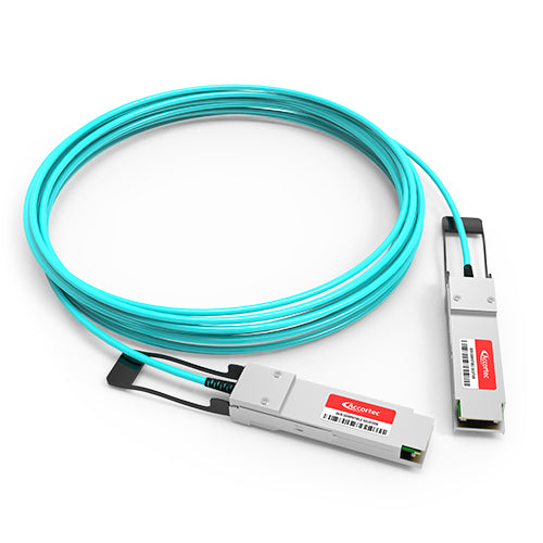 Accortec A-Q200-Q200-25M-ACC InfiniBand/fibre optic cable