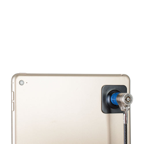 The Joy Factory LockDown cable lock