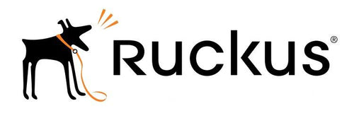 RUCKUS Networks WatchDog Support