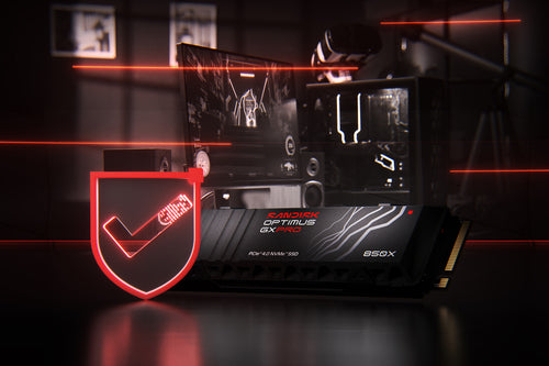 SanDisk Optimus GX PRO 850X