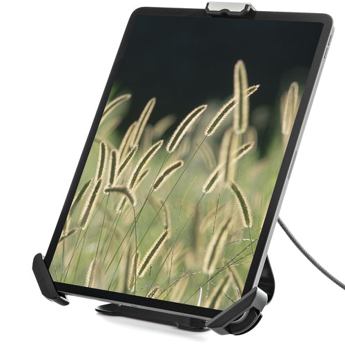 StarTech.com Adjustable Tablet Stand SECTBLTDT - Locking Holder for 7.9"-13" Tablets