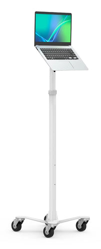 Compulocks MCRSTDWSMP01W multimedia cart/stand