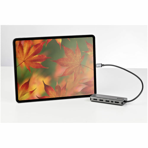 USB-C Multiport Adapter Dock 4K 60Hz HDMI Mini DisplayPort 100W Power Delivery