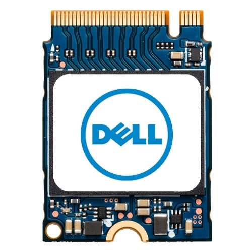 DELL SNP112233P/256G internal solid state drive