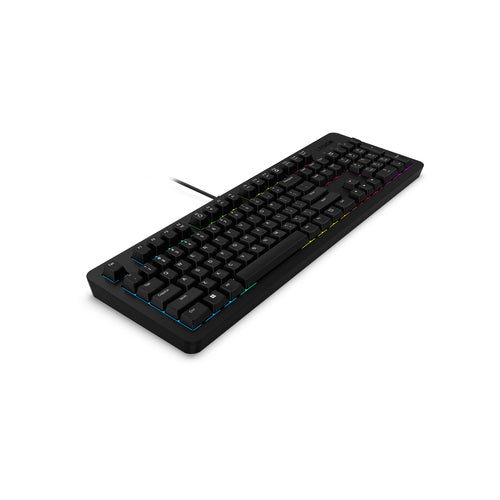 Lenovo GX31N91913 keyboard