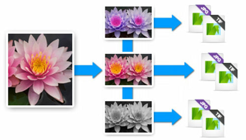 Graphic Editor Corel AfterShot Pro 3 Electronic Software Download ESD Windows - ESDASP3MLPC