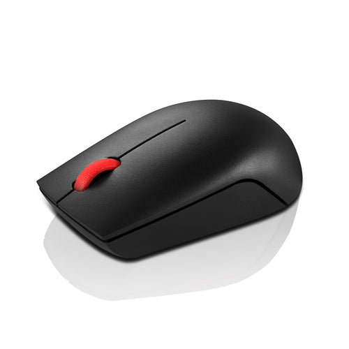 Mice