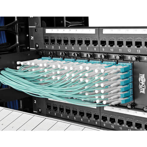 Tripp Lite N820-02M-T InfiniBand/fibre optic cable