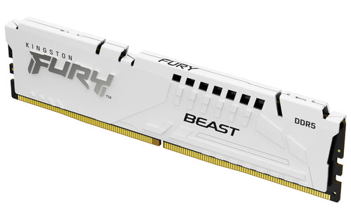 Kingston Technology FURY Beast memory module