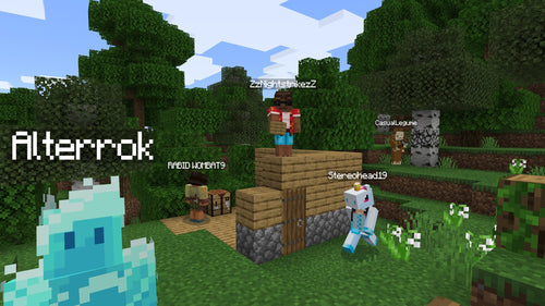 Microsoft Minecraft: Java & Bedrock