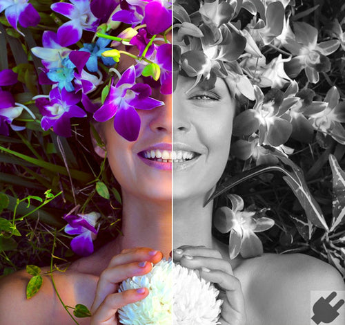 Graphic Editor Corel AfterShot Pro 3 Electronic Software Download ESD Windows - ESDASP3MLPC