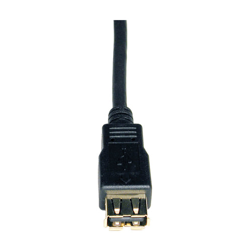Tripp Lite U024-010 USB cable