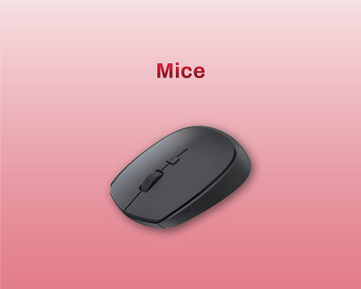Mice