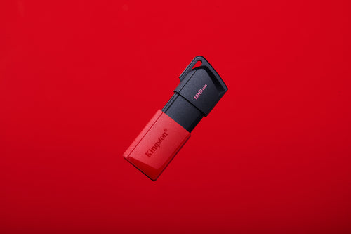 Kingston Technology DataTraveler Exodia M USB flash drive