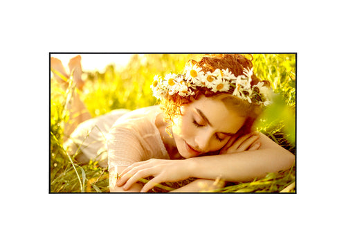 LG 50UL5Q-M Signage Display
