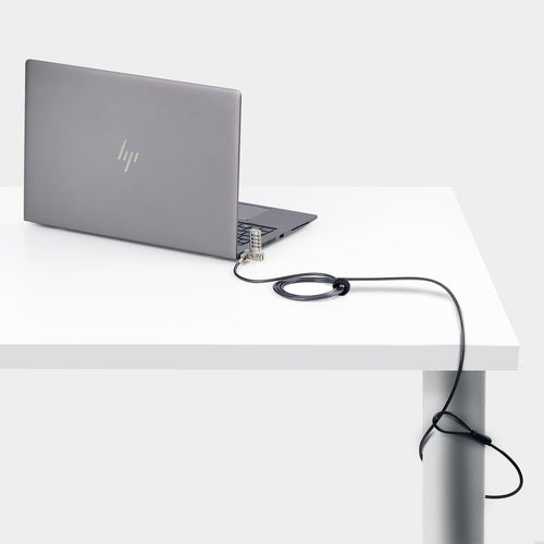 StarTech.com UNIVCS-LAPTOP-LOCK cable lock