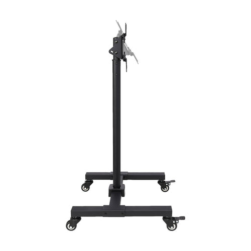 Tripp Lite DMC1342S signage display mount