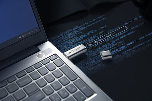 USB Flash Drive Kingston IronKey Locker+ 50 128GB 256-Bit Encryption 145MB/s USB 3.2 Gen 1