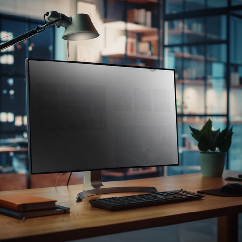 StarTech.com 23" Privacy Screen Filter - Blue Light Reducing - Matte/Glossy - 16:9 Widescreen