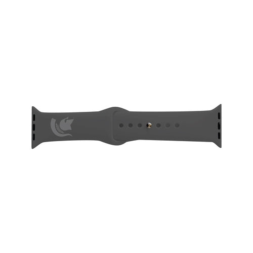 Centon OC-MSU2-ABAB00A smart wearable accessory