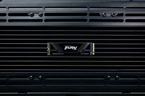 Kingston Technology FURY Renegade G5